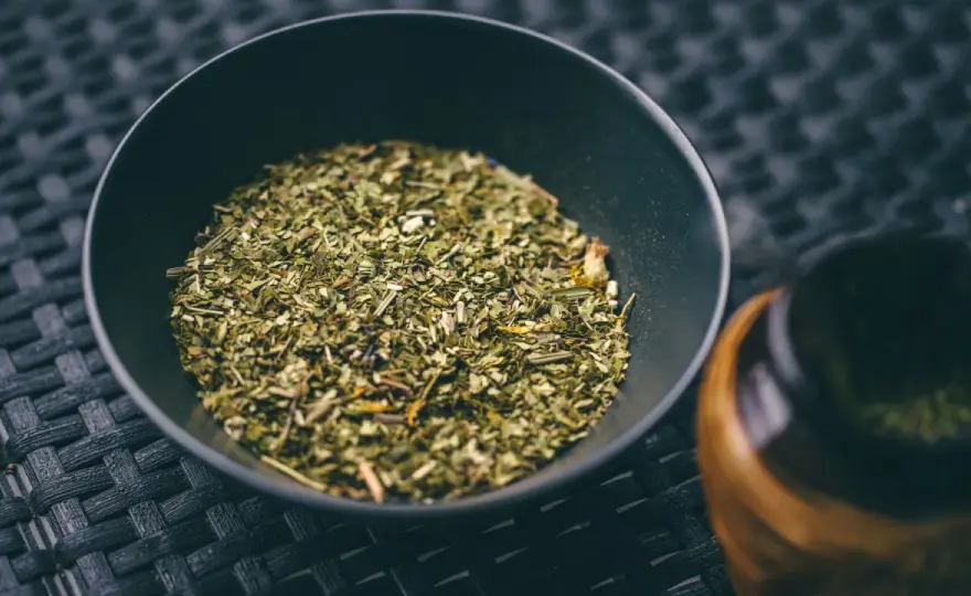Yerba mate - z czego powstaje i jak wybrać najlepszą?