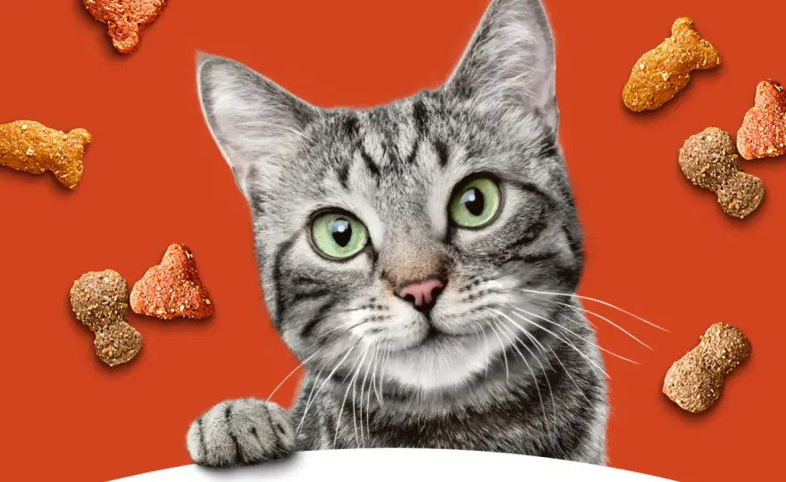 Is Meow Mix Good for Cats? The Honest Truth
