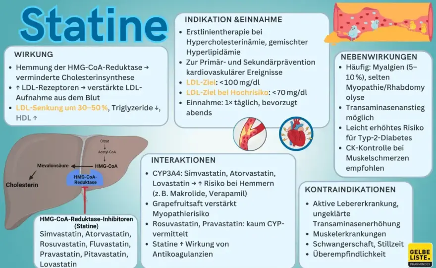 Pravastatin verstehen - Wirkung, Einnahme und Risiken