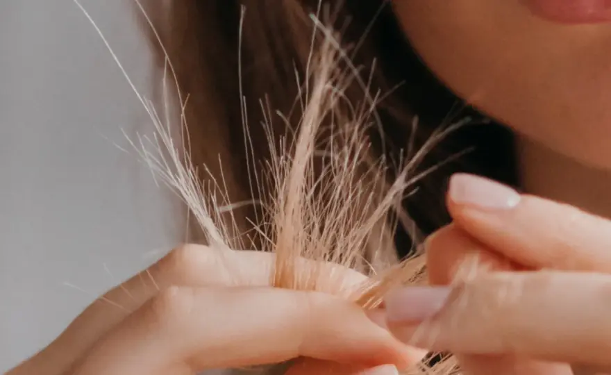 Frizz im Haar - So erkennst du ihn und beruhigst ihn sichtbar