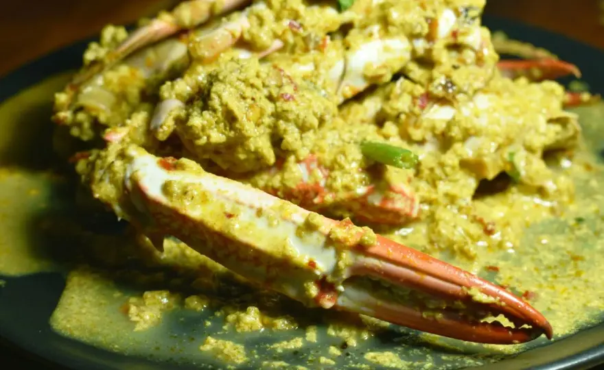 Gdzie kupię pastę curry - Jak wybrać najlepszą do Twojego dania?