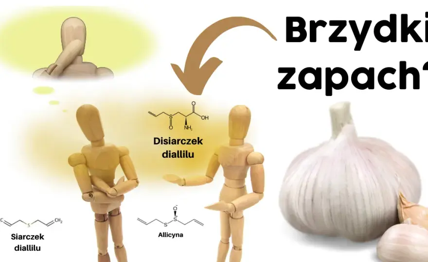 Czy czosnek jest zdrowy? Odkryj jego niesamowite właściwości!