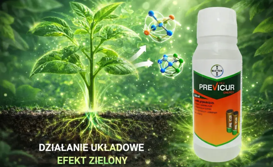 Previcur Energy - dawkowanie. Jak czytać etykietę i unikać błędów?