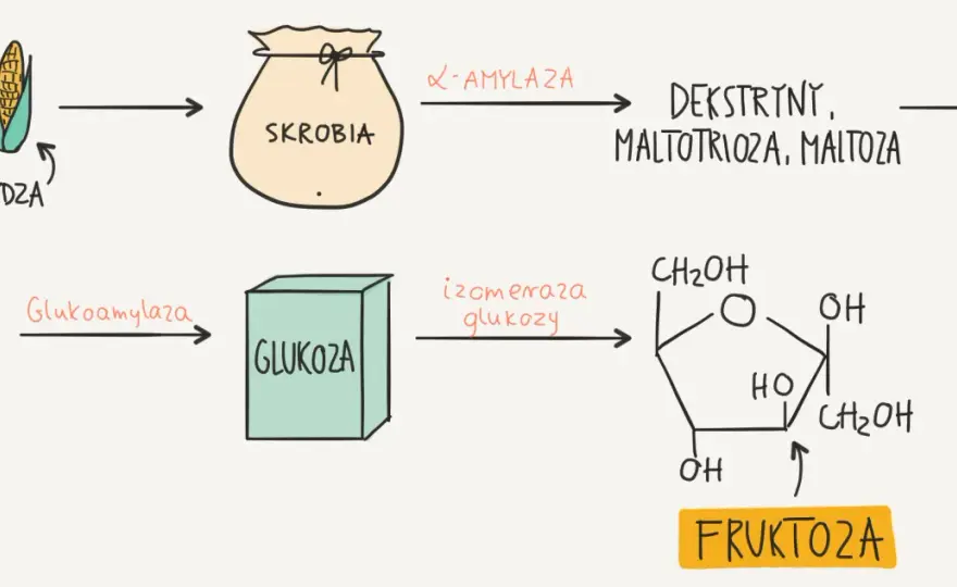 Syrop glukozowo-fruktozowy - czy jest gorszy od zwykłego cukru?