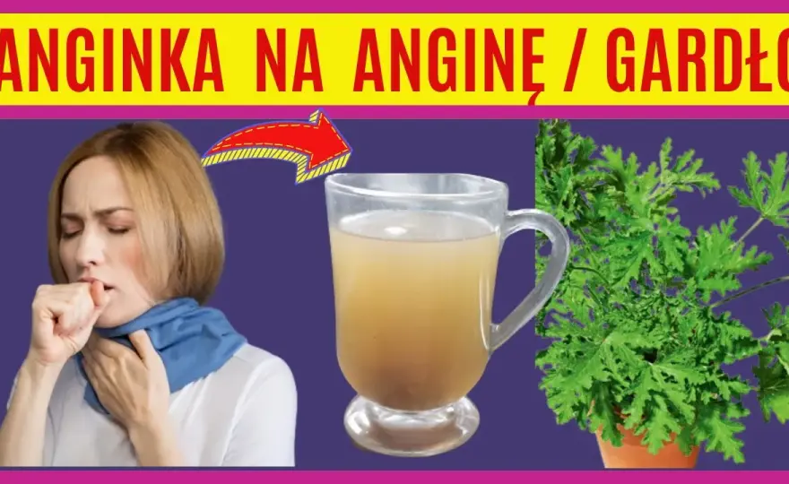 Jak zrobić herbatę z geranium: prosty przepis na zdrowy domowy napar