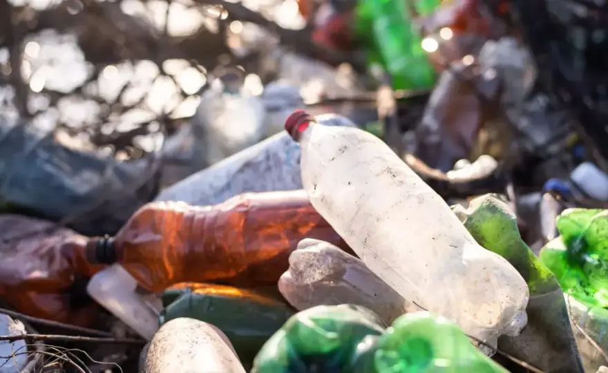 Ile lat rozkłada się butelka PET - Prawda o mikroplastiku