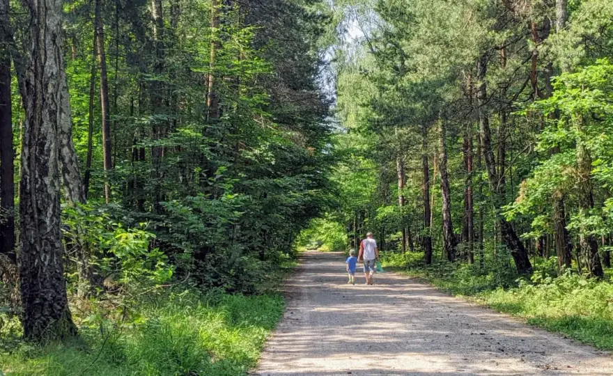 Puszcza Dulowska na spacer i rower - szlaki, trasy, Tenczyn