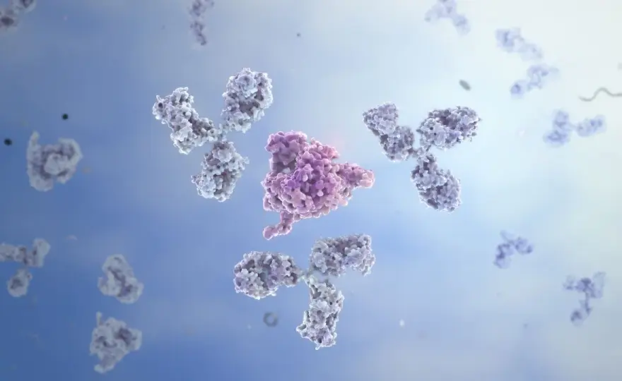 Immunoglobulina E - Czy wysoki wynik zawsze oznacza silną alergię?