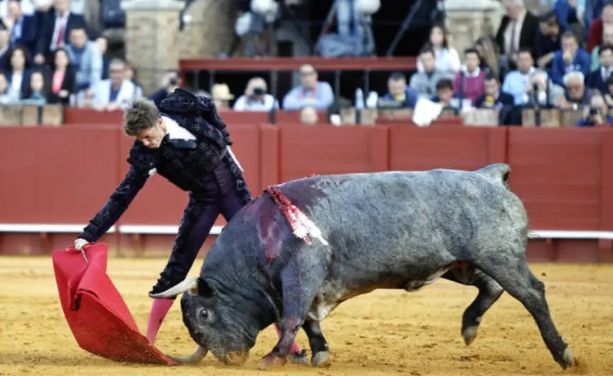 Tercios de la lidia - Entiende la corrida como un experto