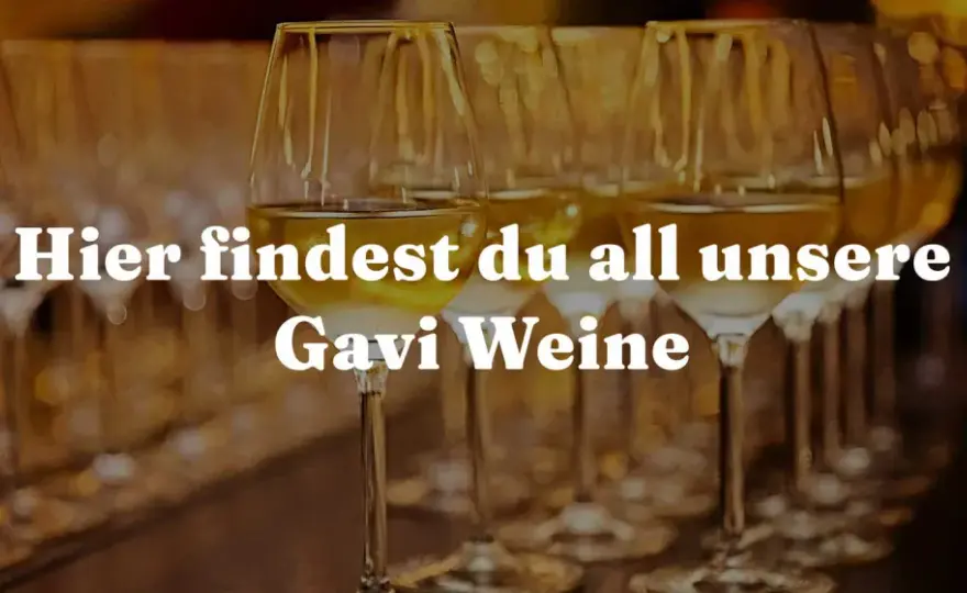 Deutsche Weinherkunft verstehen - Finde deinen Stil!
