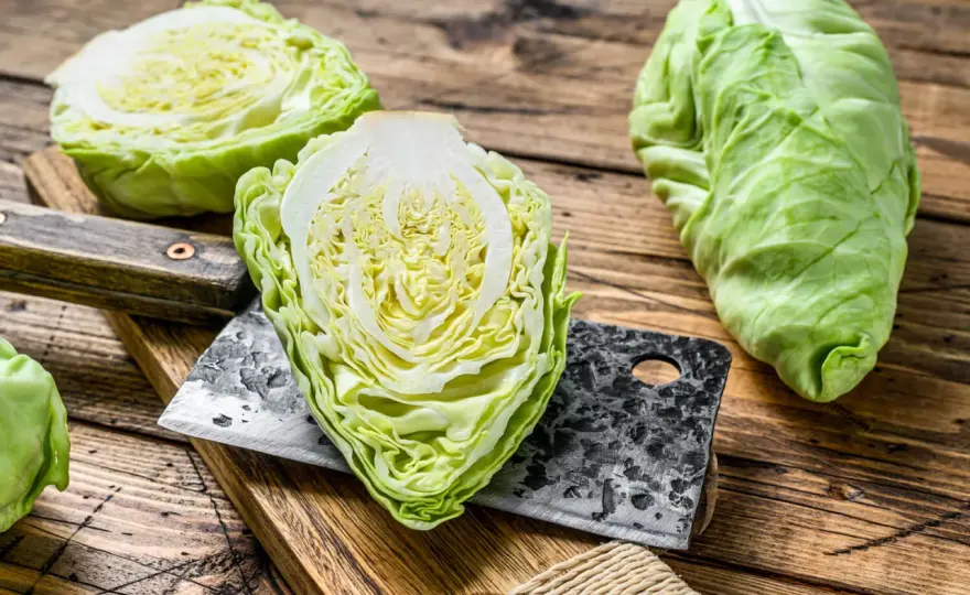 Roher Spitzkohl - So wird er lecker & bekömmlich!