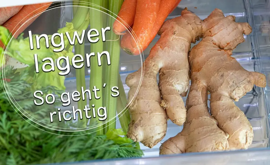 Ingwer richtig lagern im Glas - So bleibt er wochenlang frisch!