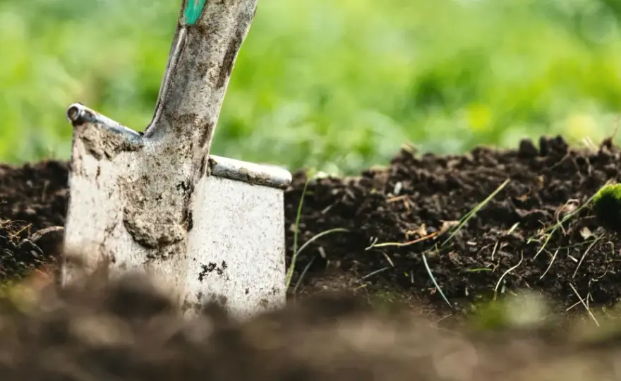 No-Dig-Beet anlegen - Weniger Arbeit, gesunder Boden?
