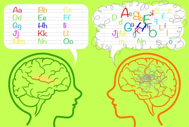 Czy dysleksja jest dziedziczna? Fakty o genetycznych przyczynach i wpływie środowiska