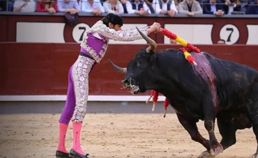 David Adalid - El banderillero que cambió la tauromaquia