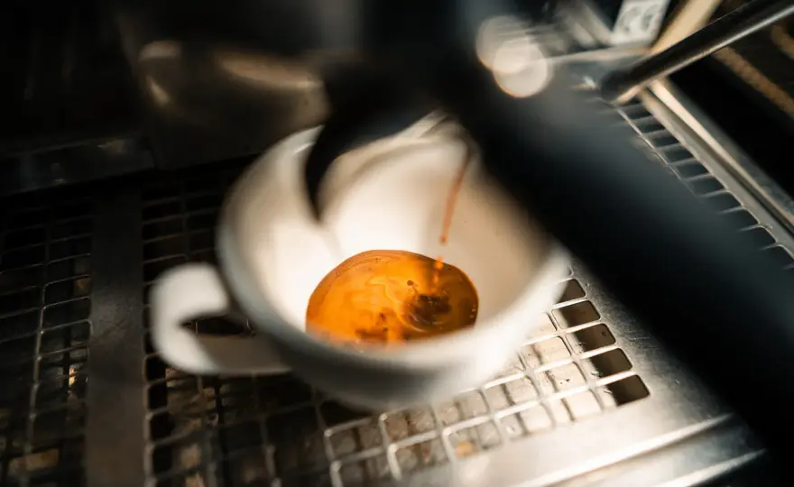 Entkoffeinierter Kaffee krebserregend? Die Wahrheit!