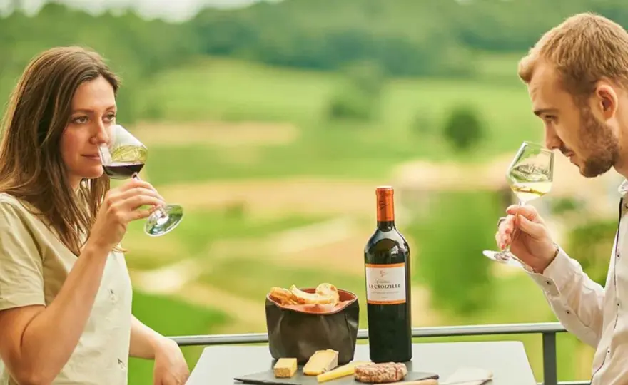 Weingut Bordeaux verstehen – Dein Guide für Besuch & Weine