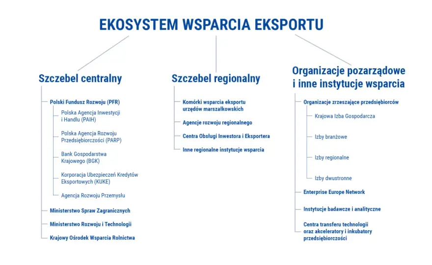 Wsparcie od państwa w Polsce - co naprawdę możesz dostać?