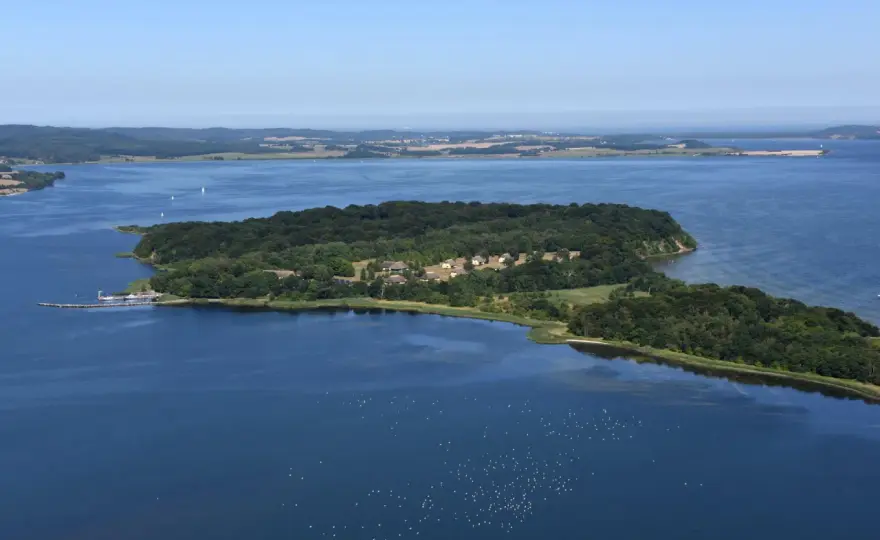 Insel Vilm besuchen - Dein Guide für Natur & Regeln
