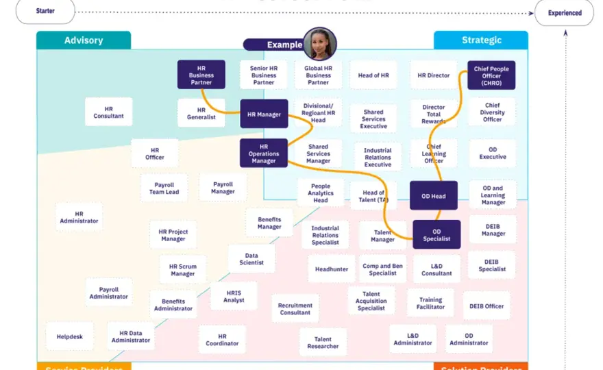 Partner HR - zarobki, wymagania i ścieżka kariery