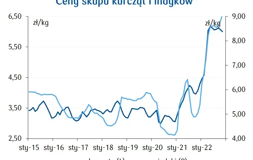 Ceny rolnicze drób: Jak zmiany wpływają na rynek i Twoje zyski