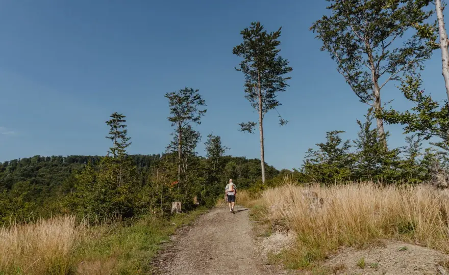 Góry blisko Katowic - Jak wybrać idealną trasę dla siebie?