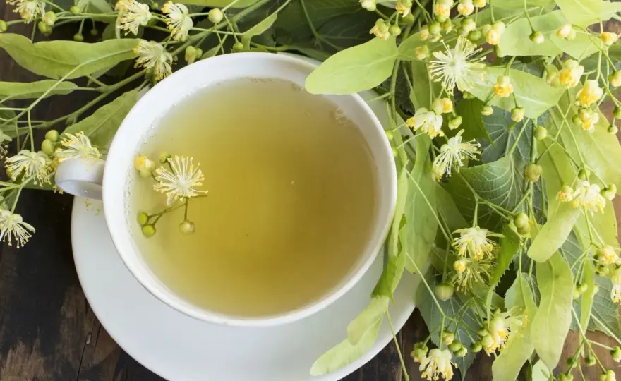Napar z lipy na kaszel - Kiedy pomaga, a kiedy nie?