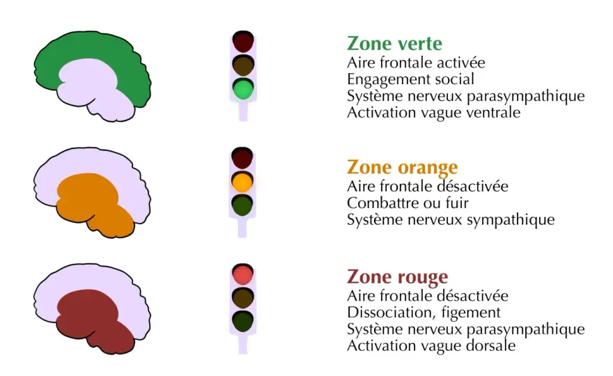 Comment calmer le système nerveux central au quotidien ?