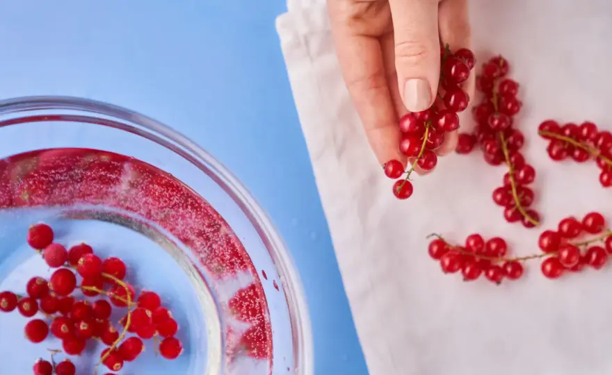 Johannisbeeren einfrieren - so bleiben Aroma und Struktur erhalten
