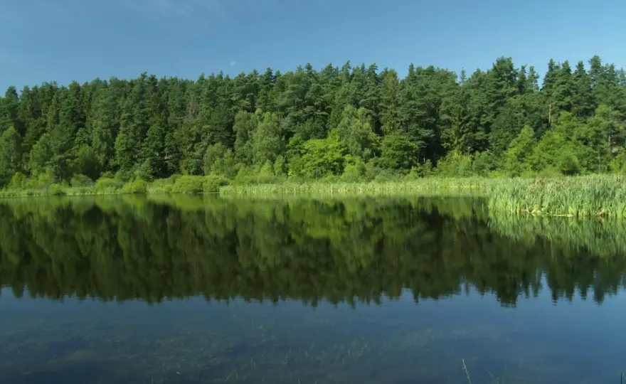 Kaszuby nad wodą - Morze, zatoka czy jeziora? Wybierz idealnie!