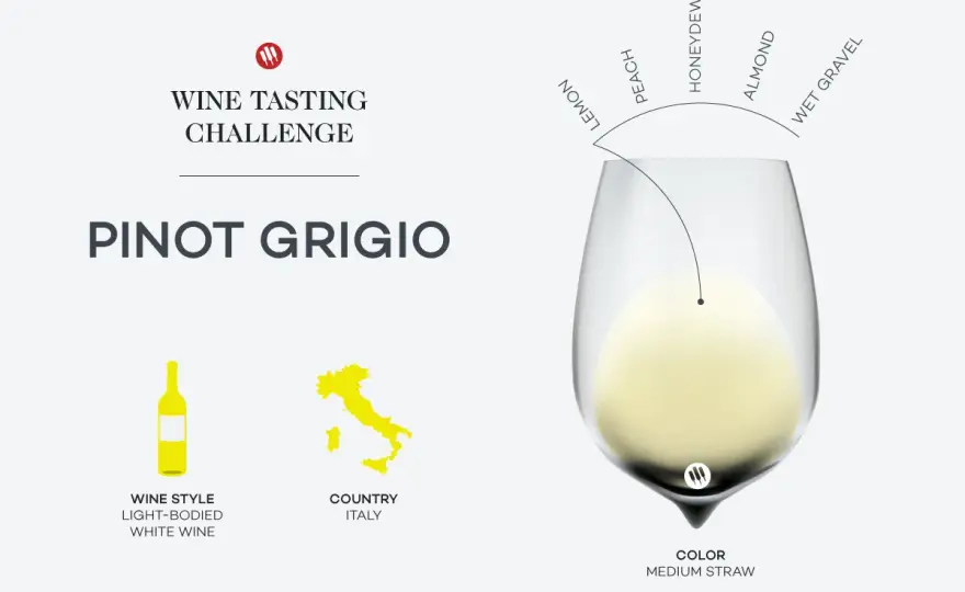 Pinot Grigio trocken - So erkennen Sie den besten Wein!