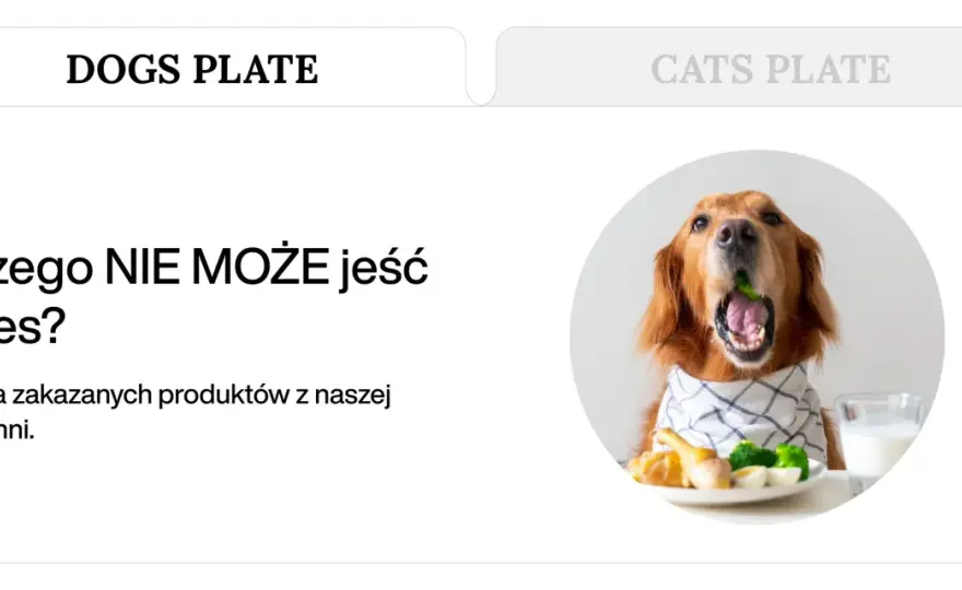 Czego pies nie może jeść? Lista zakazanych produktów i pierwsza pomoc