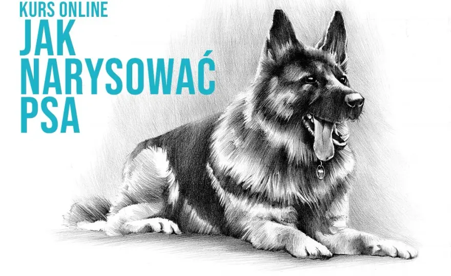 Proste sposoby jak narysować owczarka niemieckiego krok po kroku dla początkujących