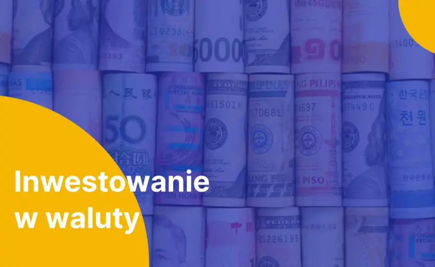 W jaką walutę inwestować? USD, EUR, CHF - wybierz mądrze!
