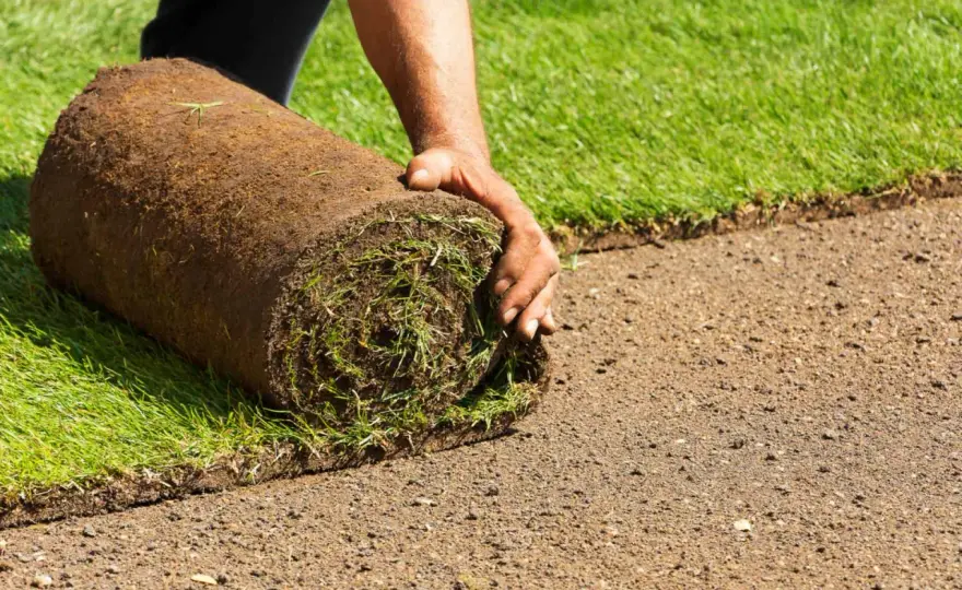 Rollrasen verlegen - So gelingt der perfekte Rasen!