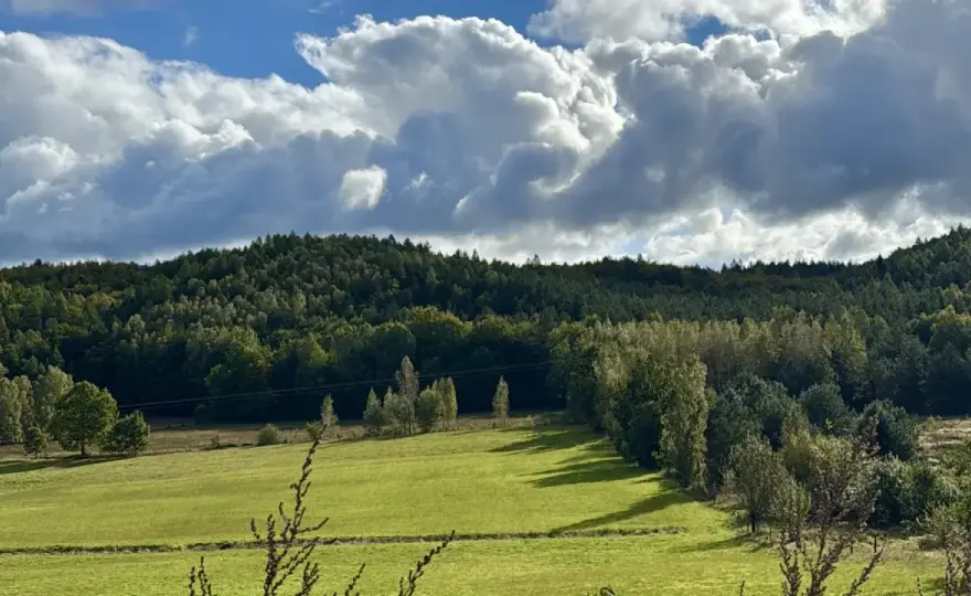 Spacer na Kaszubach - Najlepsze trasy i jak wybrać tę idealną?