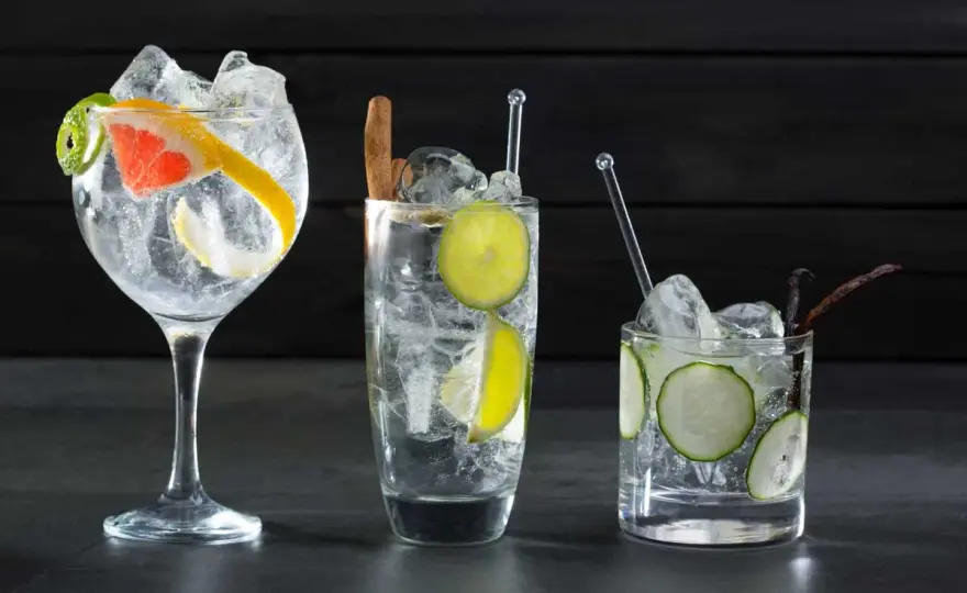 Gin Tonic Geschmack - So schmeckt er wirklich & wird perfekt