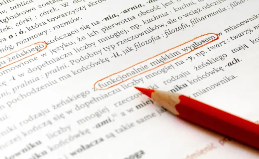 Liczba dwa w języku polskim: zasady gramatyczne i praktyczne przykłady