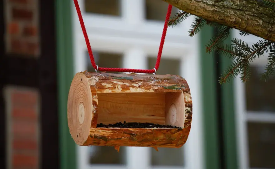 Vogelfutterstation mit Kindern bauen - So gelingt's sicher!