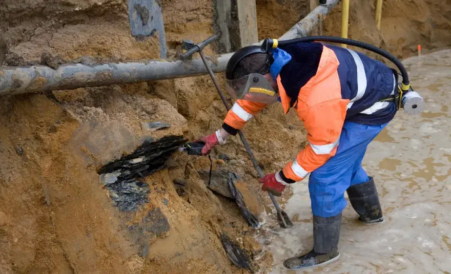 Bioremediacja - na czym polega ten rodzaj remediacji?