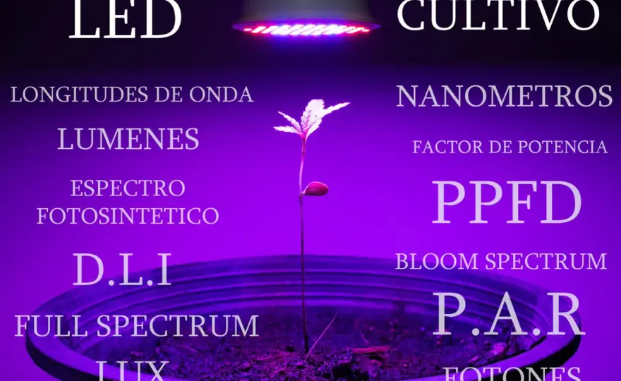 Foco LED 5W - ¿Realmente ilumina? Guía para acertar