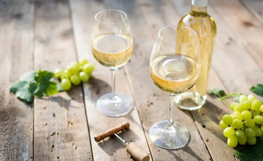 Riesling vs. Chardonnay - Welcher Weißwein passt zu dir?