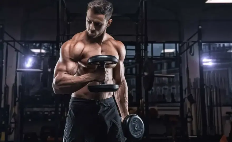 Ile serii na biceps? Optymalna objętość i wzrost!