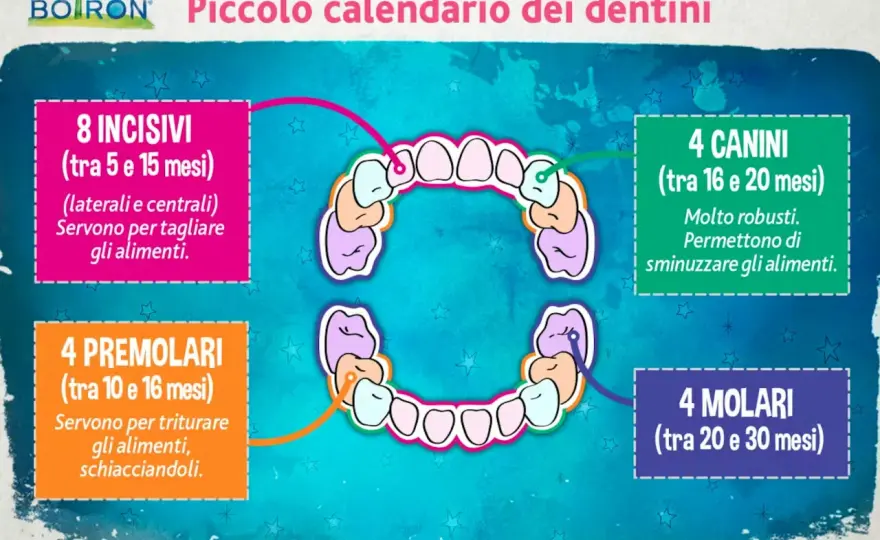 Dentizione del neonato - tempi, sintomi e rimedi sicuri