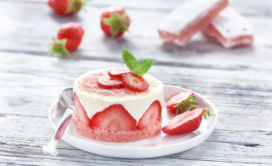 Dessert aux biscuits - Le guide pour une tenue parfaite