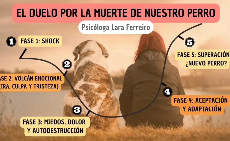 Superar la muerte de un perro - Guía para el duelo real