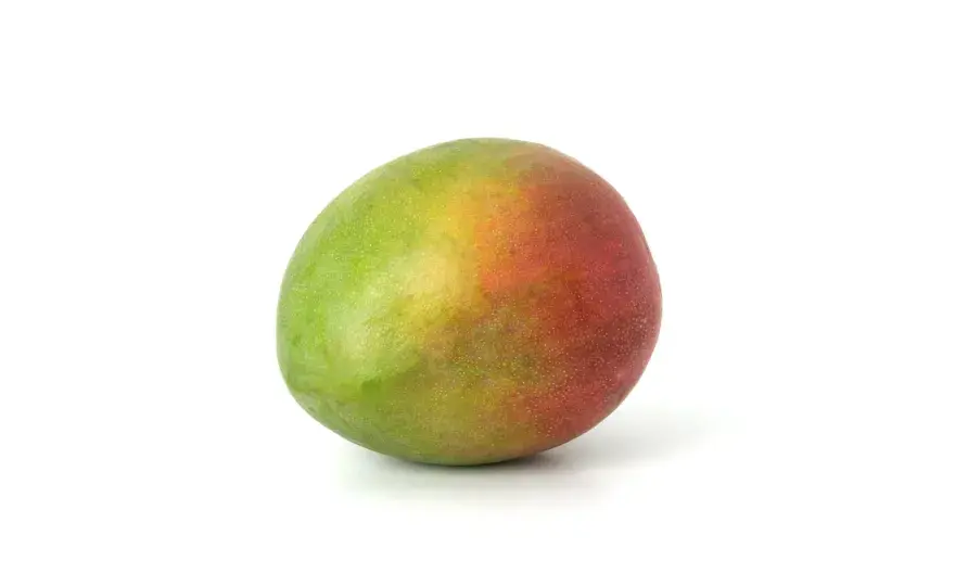 Mango für Hunde - was wirklich erlaubt ist