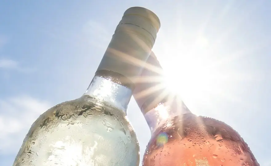 Italienische Spitzenweine - Die besten Flaschen für jeden Anlass