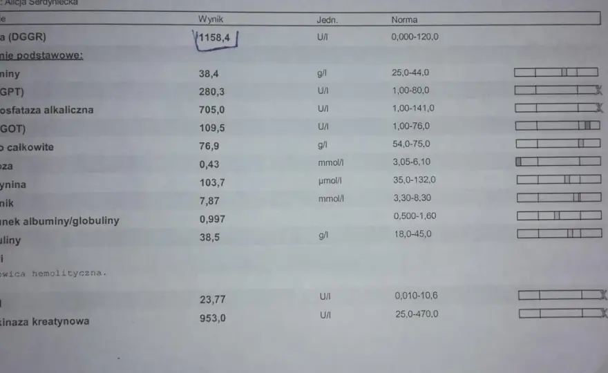 Lipaza u psa - Jak interpretować wynik i co robić dalej?