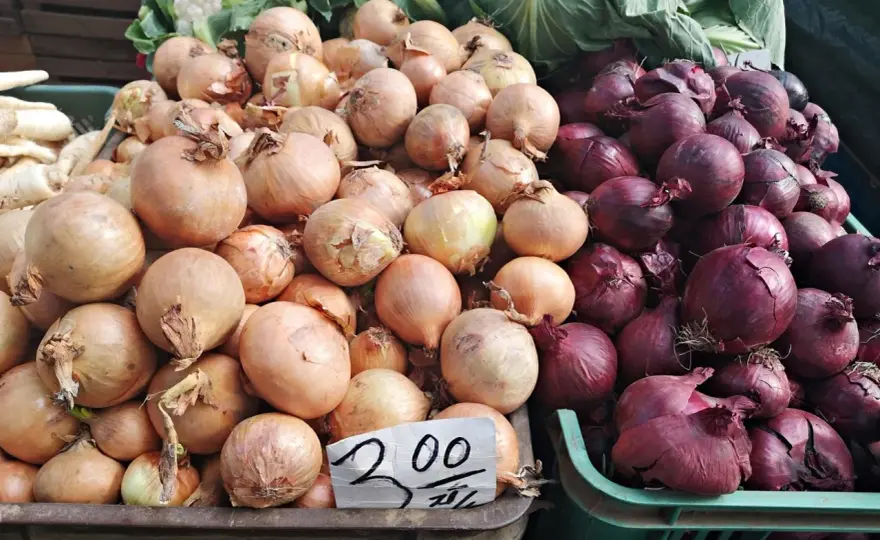 Cena cebuli - Czy wiesz, ile naprawdę kosztuje?